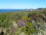 noetzie-outside-classroom-fynbos2